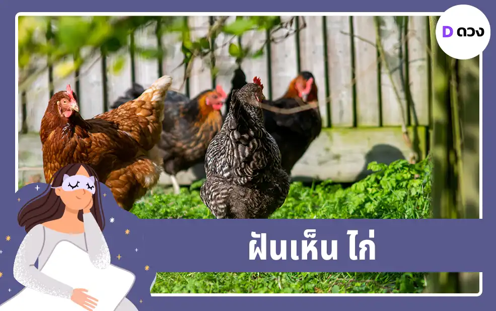 ฝันเห็น ไก่